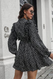 Ruffle Trim Smocked Long Sleeve Mini Dress DJPT