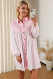 Collared Neck Dropped Shoulder Mini Dress DJPT