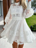 Lantern Sleeve Mini Dress DJPT