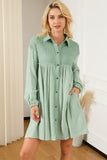Collared Neck Dropped Shoulder Mini Dress DJPT