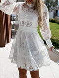 Lantern Sleeve Mini Dress DJPT