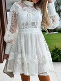 Lantern Sleeve Mini Dress DJPT