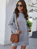 Lane Round Neck Long Sleeve Mini Dress with Pockets DJPT