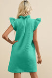 V-Neck Cap Sleeve Mini Dress DJPT
