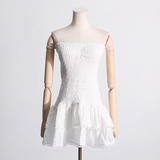 Sheath Strapless Blue Lace Vacation Dress Short Birthday Dresses SD173