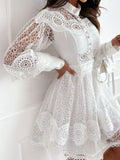 Lantern Sleeve Mini Dress DJPT