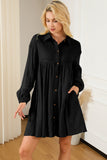 Collared Neck Dropped Shoulder Mini Dress DJPT