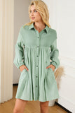 Collared Neck Dropped Shoulder Mini Dress DJPT