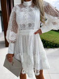 Lantern Sleeve Mini Dress DJPT