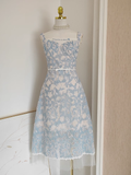 A line Straps Sleeveless Blue Lace Party Dress Holiday Birthday Dresses For Women SD361