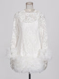 Senior Sense Dress Woman 2025 Summer New Lace Collar Splicing Mesh Long Sleeve Short Dress Women's Dress