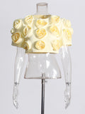 Niche Spliced Rose Flower Set Women's Clothing 2025 New Bubble Sleeve Top High Waist Half Skirt