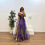 2025 New Yarn Net Printed Party Dress INS Casual Fashion Women's Dress HZ0628