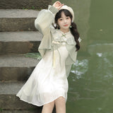 Design Bamboo Chinese Style Retro Daily Hanfu Women's Coat Dress Two-Piece 6632