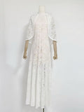 Temperament Fashion Elegant Style Dress 2024 Autumn And Winter New Light Luxury Embroidery Perspective Shawl Dress Woman