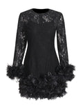 Senior Sense Dress Woman 2025 Summer New Lace Collar Splicing Mesh Long Sleeve Short Dress Women's Dress