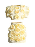 Niche Spliced Rose Flower Set Women's Clothing 2025 New Bubble Sleeve Top High Waist Half Skirt
