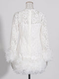 Senior Sense Dress Woman 2025 Summer New Lace Collar Splicing Mesh Long Sleeve Short Dress Women's Dress