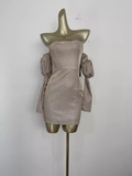 Sheath Strapless Sequin Travel Vacation Beach Dress Short Birthday Dress SD0035