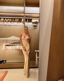 Mermaid Spaghetti Straps Long Prom Dress Evening Dress Formal Dress SD2169