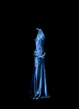 Mermaid Halter Neck Blue Satin Backless Prom Gown Fairy Prom Dresses SD2905 HZ0628