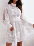 Lantern Sleeve Mini Dress DJPT