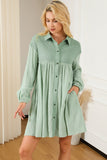 Collared Neck Dropped Shoulder Mini Dress DJPT