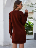 Lane Round Neck Long Sleeve Mini Dress with Pockets DJPT