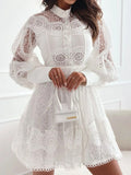 Lantern Sleeve Mini Dress DJPT