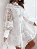 Lantern Sleeve Mini Dress DJPT