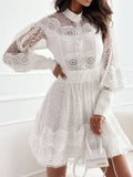 Lantern Sleeve Mini Dress DJPT