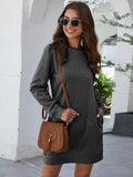 Lane Round Neck Long Sleeve Mini Dress with Pockets DJPT