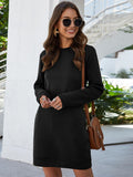 Lane Round Neck Long Sleeve Mini Dress with Pockets DJPT